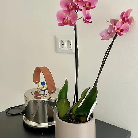 Daire Art Heritage Split